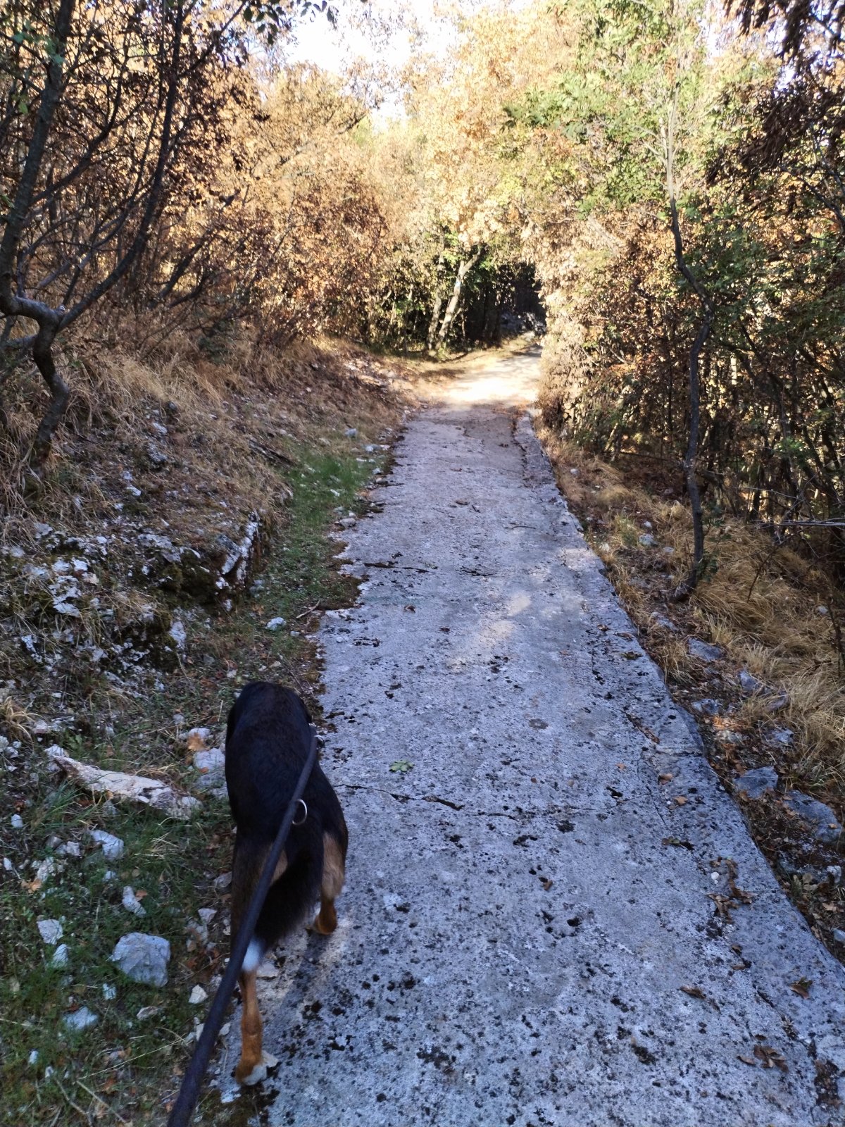 Slika 2