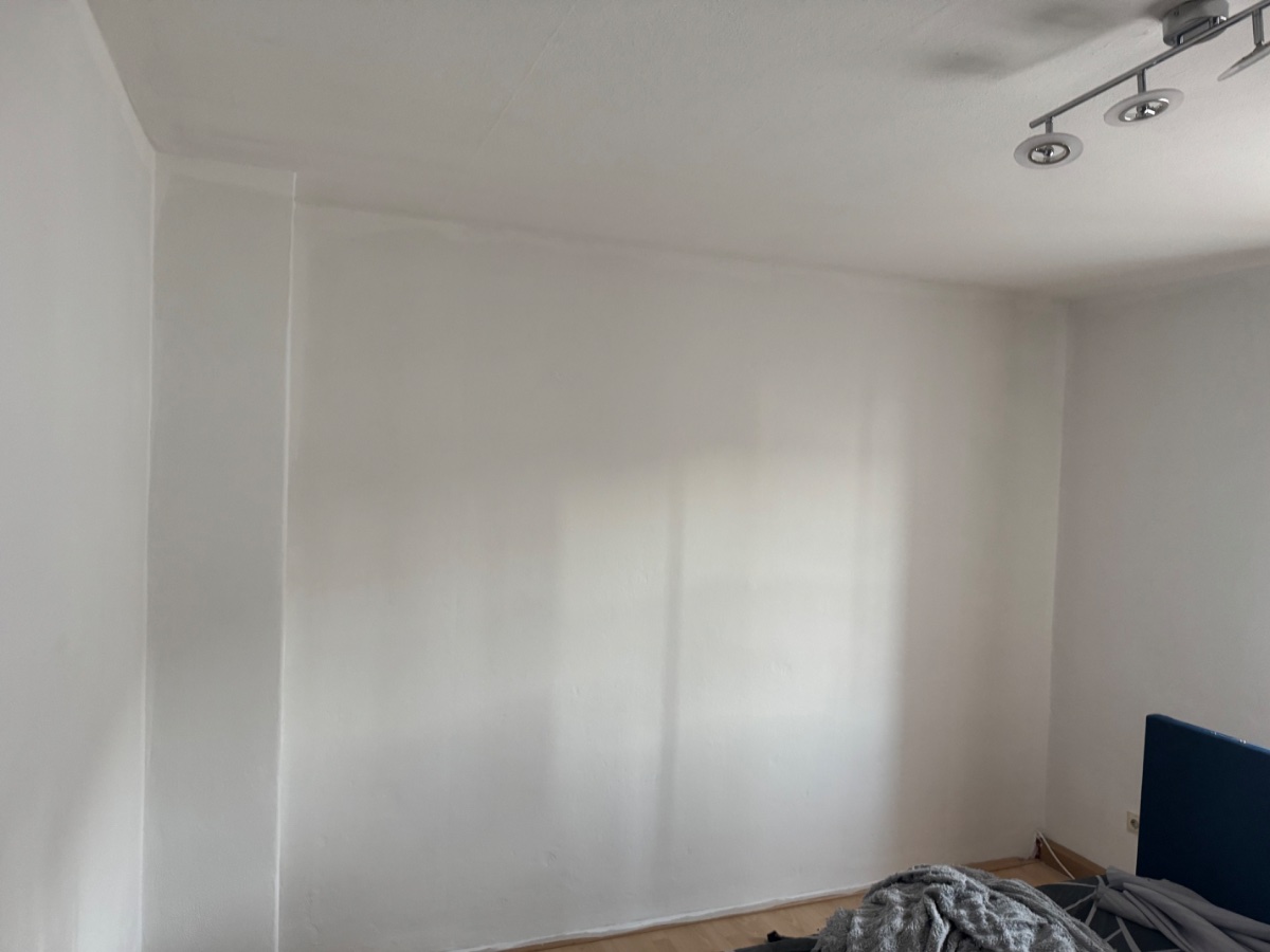 Hausmeisterservice – Wände & Decken streichen, Kleine Reparaturen, Umzugshilfe, Gartenpflege - 1